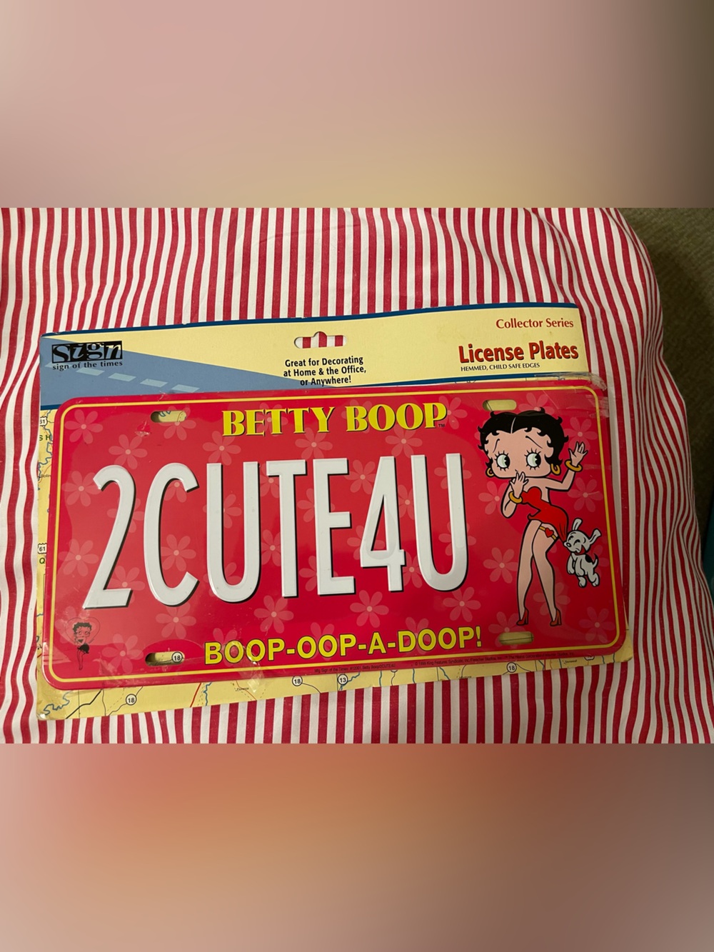 Betty Boop Decorative license plate!